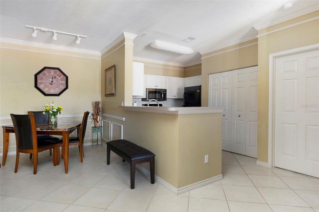 4333 N BAYSIDE VILLAGE DRIVE S 308, Tampa, FL 33615