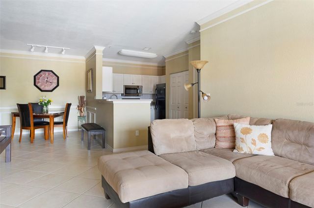 4333 N BAYSIDE VILLAGE DRIVE S 308, Tampa, FL 33615