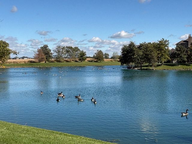 8613 High Stone Way, Frankfort, IL 60423