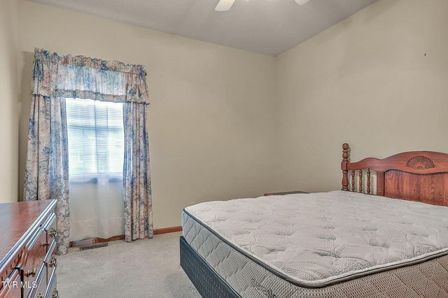171 Rosecliff Drive, Fall Branch, TN 37656