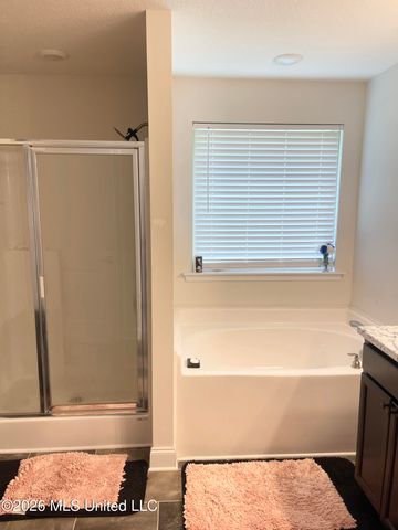 8673 Kimberly Dawn Drive, Southaven, MS 38671