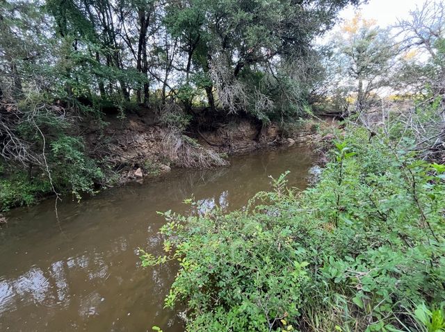 TBD Hwy 220 Tracts 5, 6, Hico, TX 76457