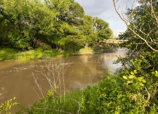 TBD Hwy 220 Tracts 5, 6, Hico, TX 76457