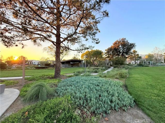 268 Novel, Irvine, CA 92618