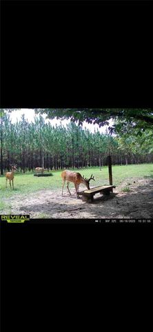 272 NE COUNTY ROAD 337, Trenton, FL 32693