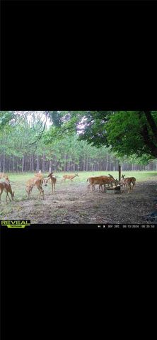 272 NE COUNTY ROAD 337, Trenton, FL 32693