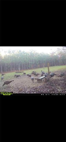 272 NE COUNTY ROAD 337, Trenton, FL 32693