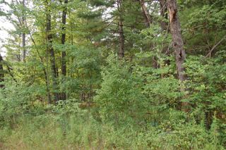 LOT 21-22 George Street, Prescott, MI 48756