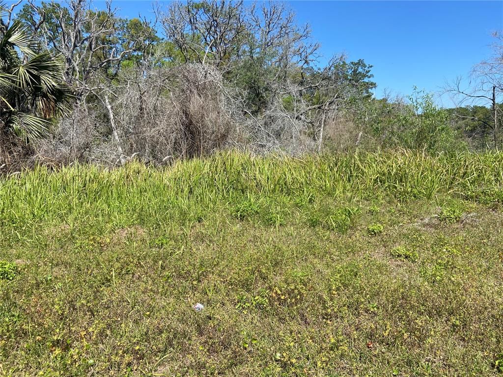 PARCEL 27 15 30 00 00 0160, De Leon Springs, FL 32130