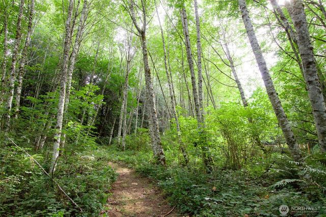 477 Wasankari Road, Port Angeles, WA 98363