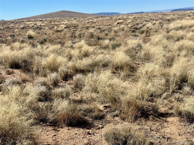 lot 1 N 29th Street, Blanca, CO 81123