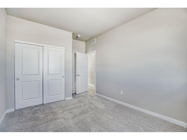 635 Noola St, Windsor, CO 80550