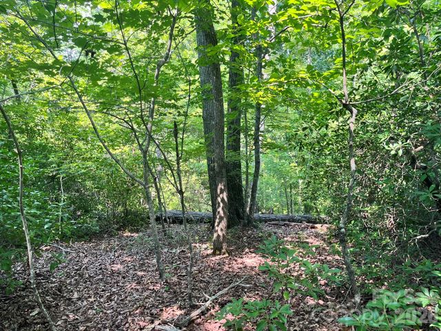 Lot 25 Bluebird Terrace, Lake Lure, NC 28746
