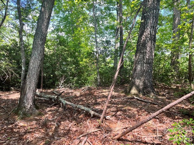 Lot 25 Bluebird Terrace, Lake Lure, NC 28746