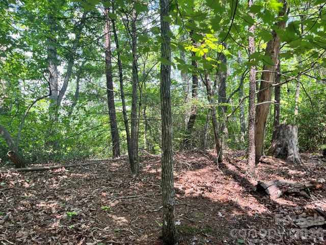 Lot 25 Bluebird Terrace, Lake Lure, NC 28746