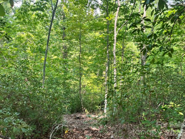 Lot 25 Bluebird Terrace, Lake Lure, NC 28746
