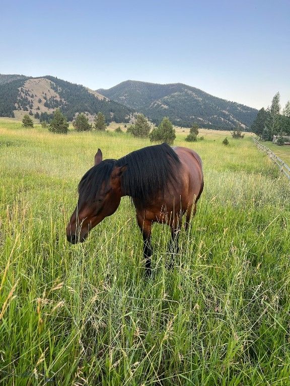 17630 Rocky Mountain Road, Belgrade, MT 59714 photo 12