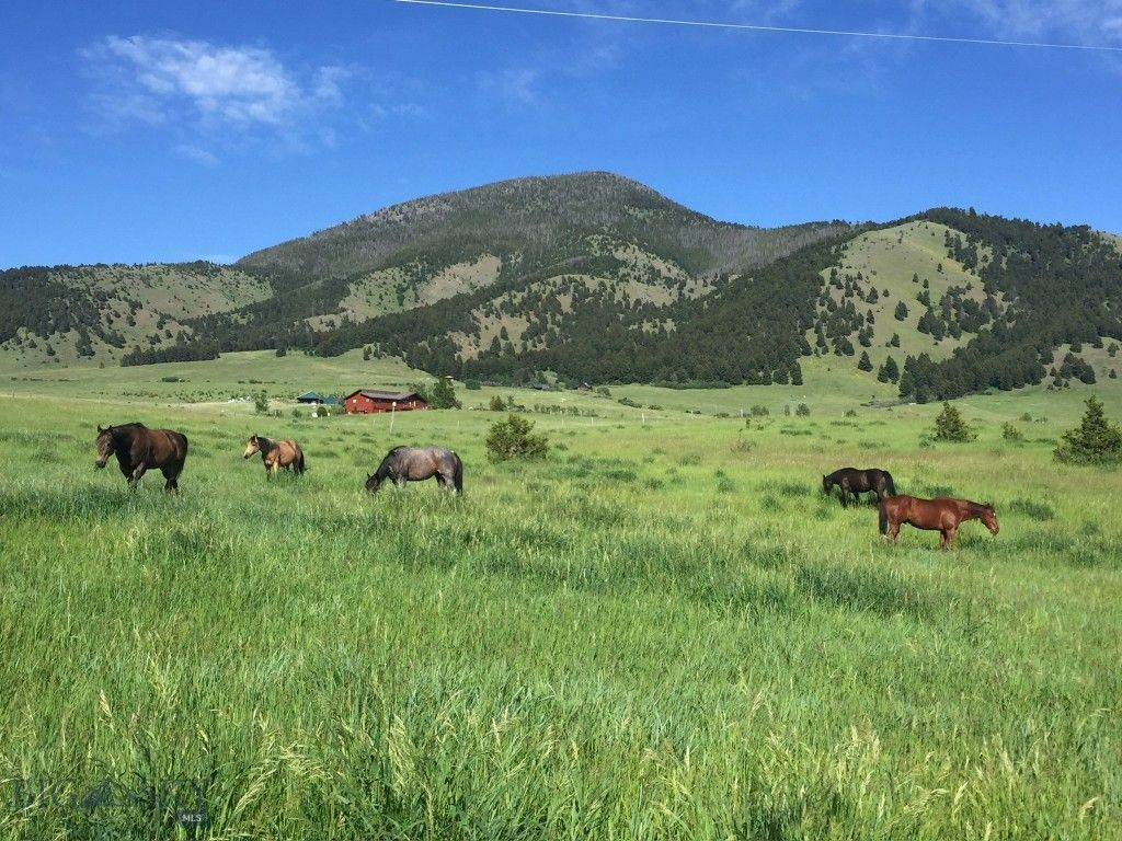17630 Rocky Mountain Road, Belgrade, MT 59714 photo 2