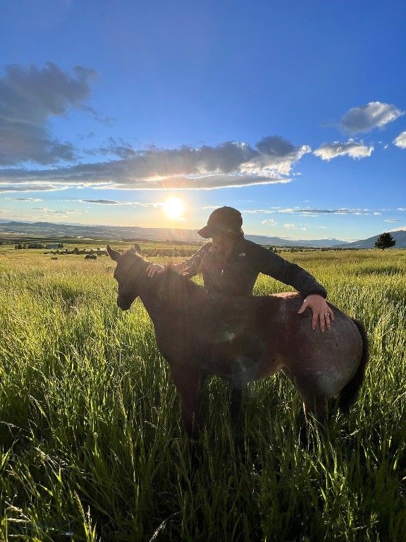 17630 Rocky Mountain Road, Belgrade, MT 59714 photo 30