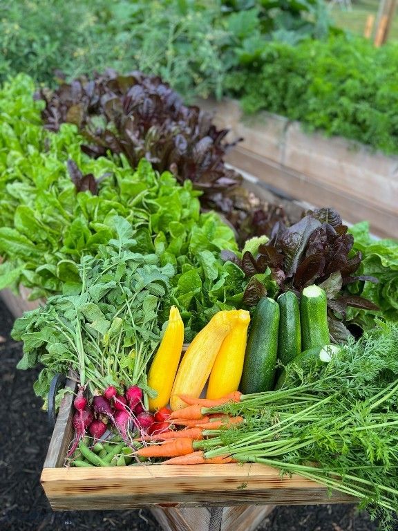 17630 Rocky Mountain Road, Belgrade, MT 59714 photo 43