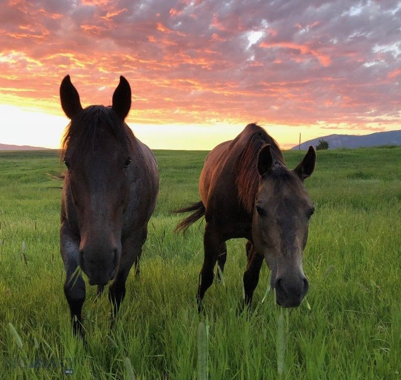 17630 Rocky Mountain Road, Belgrade, MT 59714 photo 53