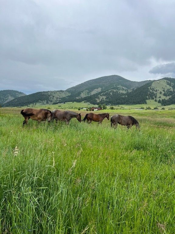 17630 Rocky Mountain Road, Belgrade, MT 59714 photo 6