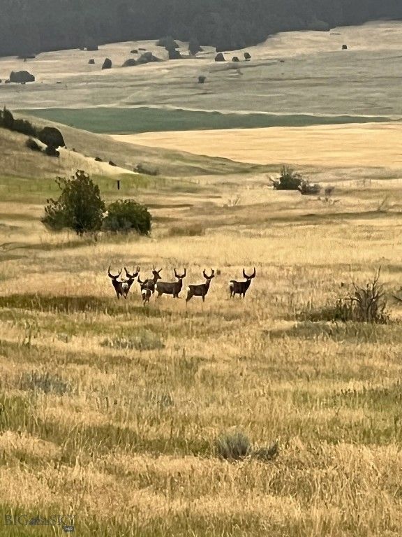 17630 Rocky Mountain Road, Belgrade, MT 59714 photo 60