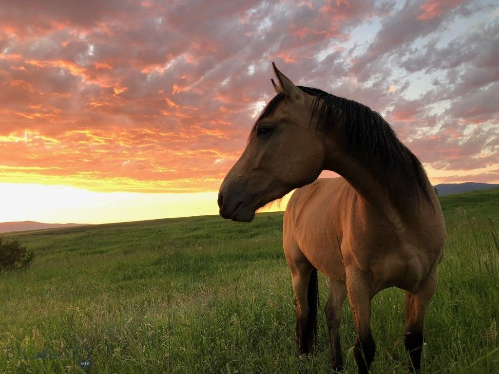 17630 Rocky Mountain Road, Belgrade, MT 59714 photo 61