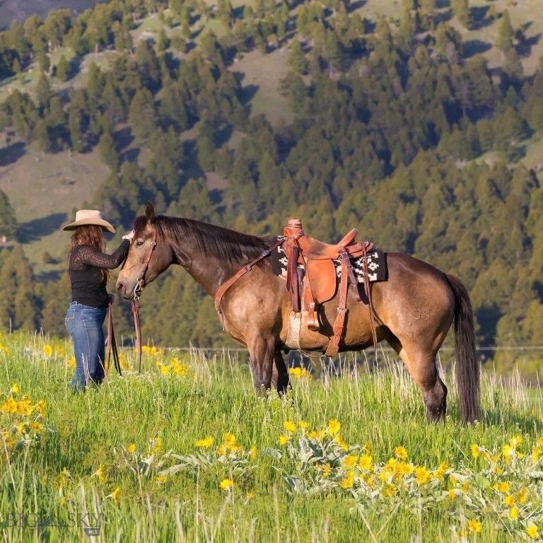 17630 Rocky Mountain Road, Belgrade, MT 59714 photo 9