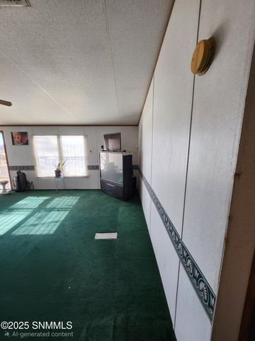 25 NE Hatch Highway, Deming, NM 88030