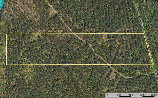 Tract 20 County Road 4224, Frankston, TX 75763