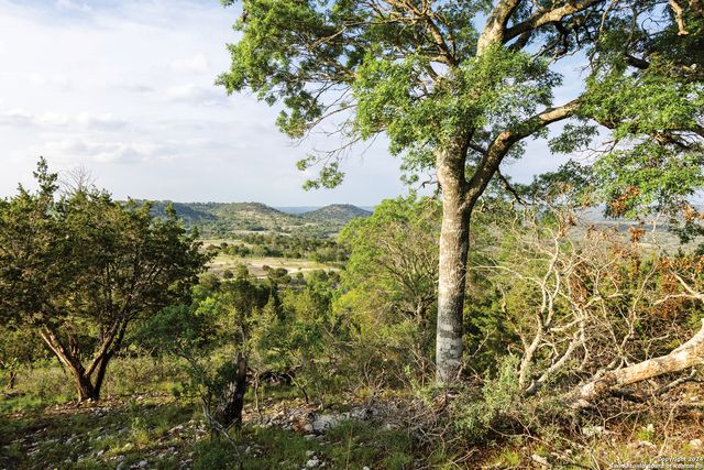 223 flat rock creek, Comfort, TX 78013
