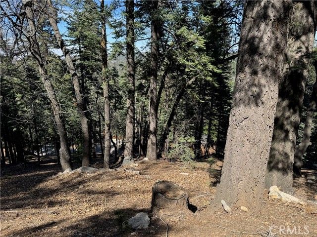 26537 Spyglass Drive, Lake Arrowhead, CA 92352