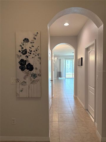 10415 BUTTERFLY WING COURT, Riverview, FL 33578