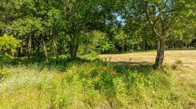 TBD E FM 455, Pilot Point, TX 76258