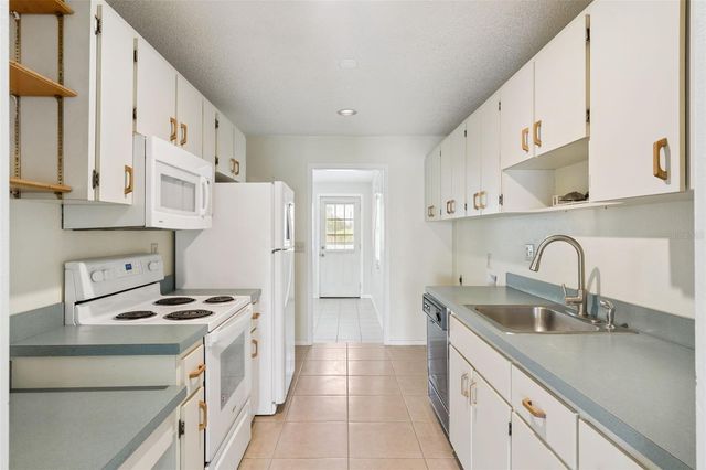 30213 TAVARES RIDGE BOULEVARD 30213, Tavares, FL 32778
