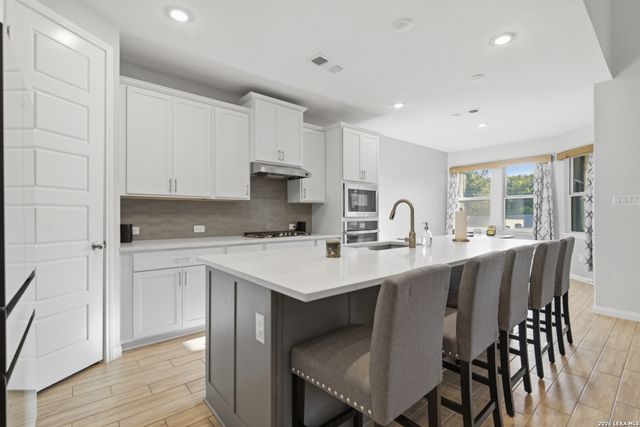 2519 Tortuga Verde, San Antonio, TX 78245