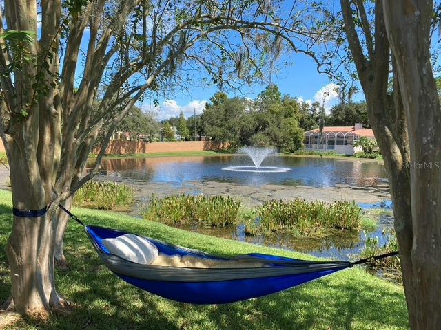 2406 DANA DRIVE, Safety Harbor, FL 34695