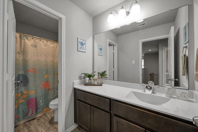 16451 Rosary Pea Place, Conroe, TX 77385