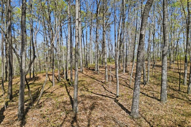 117 Heritage Plantation, Ball Ground, GA 30107