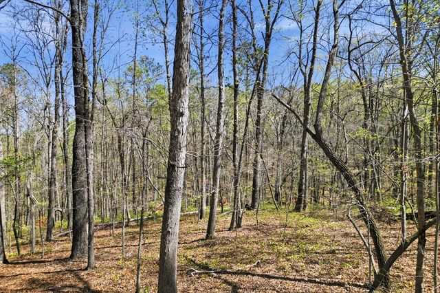 117 Heritage Plantation, Ball Ground, GA 30107