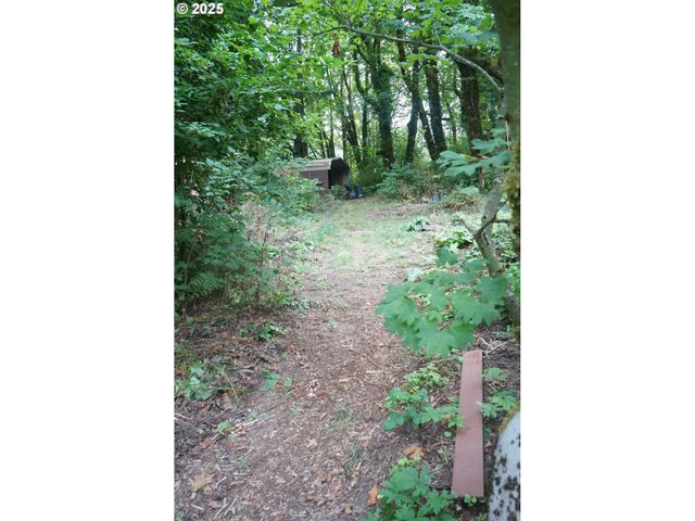 41300 E LARCH MOUNTAIN Rd, Corbett, OR 97019