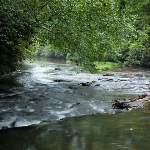 Lot 164 Shenendoa Drive, Ellijay, GA 30540