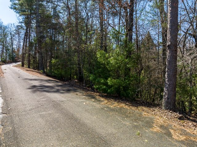 Lot 164 Shenendoa Drive, Ellijay, GA 30540