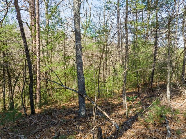 Lot 164 Shenendoa Drive, Ellijay, GA 30540