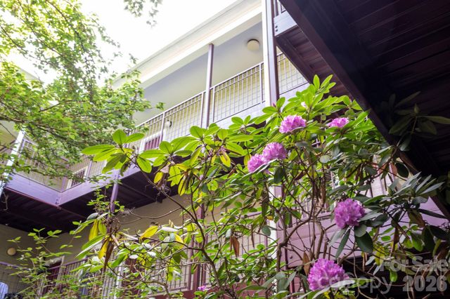 64 Clingman Avenue 202, Asheville, NC 28801