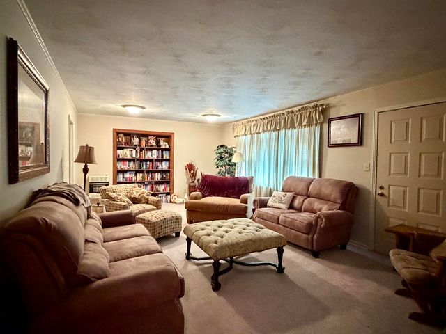 254 MICHIE RD, Michie, TN 38357