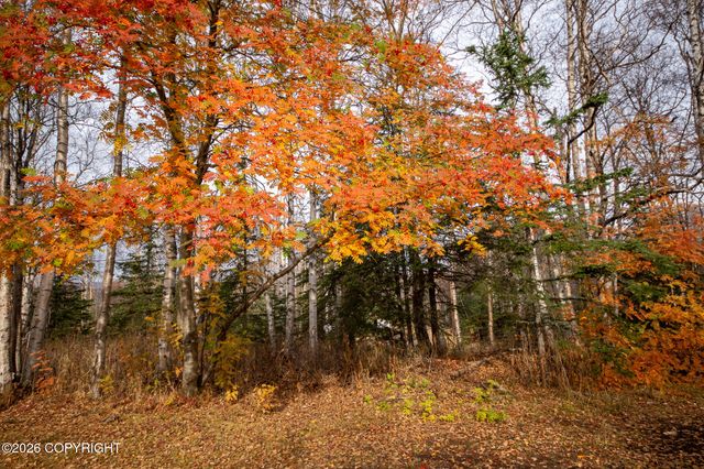 4600 E Pamela Drive, Wasilla, AK 99654