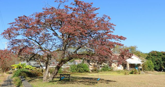 181 Louie Street, Wagener, SC 29164