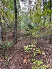 0 Goldfinch Ln, Murphy, NC 28906